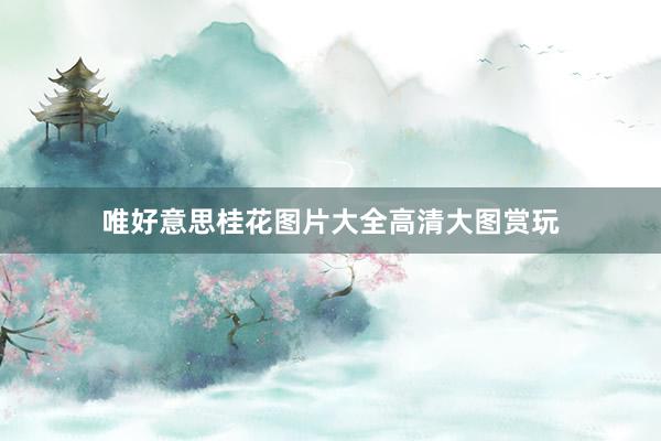唯好意思桂花图片大全高清大图赏玩
