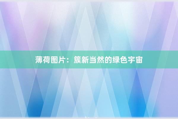 薄荷图片:簇新当然的绿色宇宙